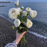 Amar Badawi - @amar.m.badawi - Instagram