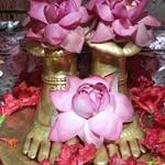 Amar Banerjee - @ttithi64575 - Instagram
