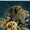 Amar Barot - @amarbarot0 - TikTok