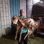 Amar Bhati - @amarbhati432 - Instagram