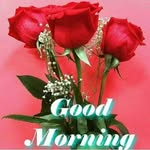 Amar Kapadia - @amar.kapadia.31 - Instagram