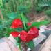 Amar Khatri - Facebook