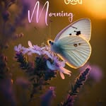 Amar Mistry - @mistri.amar - Instagram