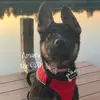 amara rose🐶 - @amarathegsd - TikTok