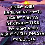 Amare Abebe - @abebeamare564 - Instagram