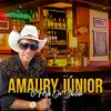 Amaury_junior.ofc - @amaury_junior.ofc - TikTok
