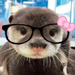 Amaya Hall - @bananapisslover - Instagram
