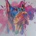 Amaia Weiss - Facebook
