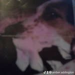 amber addington - @addingtona27 - Instagram