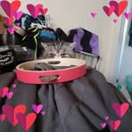 Amber Akin - Facebook