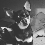 amber lynn elizabeth albright - @amber_lynn_elizabeth_albright - Instagram
