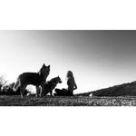 Jax - @amberapple1 - Instagram