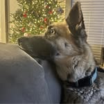 Amber Talley Applegate - @talleygate - Instagram