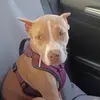 Amber - @amberarnette - TikTok
