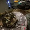 Amber Babb735 - @amber90520 - TikTok