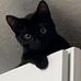 Ember Babb - Facebook