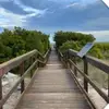 Amber Beach - @amber.beach4 - TikTok