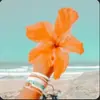 😲💕🏖 amber 🤑🥒🌼 - @beachyyamber - TikTok