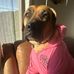 Amber Bergstrom - Facebook