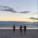 Amber Bird - @amberparrot_ - Instagram