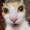 amber - @amber.bly - TikTok