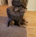 Amber Bomstad - Facebook