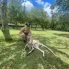 Amber Bone - @amberbone0 - TikTok