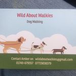 Amber Bowen - @wildaboutwalkiessomerset - Instagram