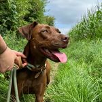Amber Cü - @amb.erbraun - Instagram