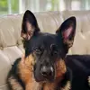 Amber Briscoe - @amberb_5 - TikTok