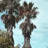 Amber Buckley - @user972567689 - TikTok