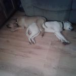 amber burden - @a.n.burden - Instagram