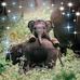 Amber Burghardt - Facebook