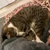 Amber Button - @amber.button2 - TikTok