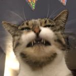 Amber Button - @ambsbutton - Instagram