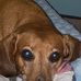 Amber Cason - Facebook