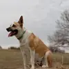 Amber Cason - @amber.cason8 - TikTok