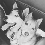 Amber & Cassel - @amber_cassel - Instagram