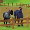 AMBER O CAVALO - @zombie_amber - TikTok
