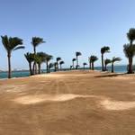 Yannick Cavallo Gamber - @cavallogamber - Instagram
