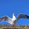 Amber Chambers - @amber_n_freya - TikTok