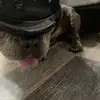 Amber Christy - @amber.christy1 - TikTok