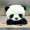 amberchurchill0102 - @amberchurchill010 - TikTok