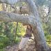 Amber Cleaver - Facebook