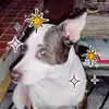 amberclosson - @amberclosson - TikTok