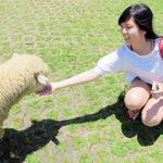 Meiyun Wu - @ambercloud - Instagram