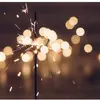 amberco - @makingnewthings0 - TikTok