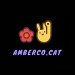 Jual Kucing Persia 🐈 - @amberco.cat - Instagram