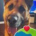 Amber Cottington - Facebook