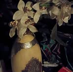 Amber Cohen - Facebook